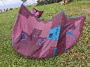 20260317_124327.webp