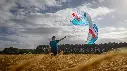 Flow D Wing 4.2 M.webp